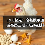 19.6亿元!隆基携手通威布局二期20万吨硅料项目 19.6亿元!隆基携手通威布局二期20万吨硅料项目