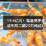 19.6亿元!隆基携手通威布局二期20万吨硅料项目 19.6亿元!隆基携手通威布局二期20万吨硅料项目