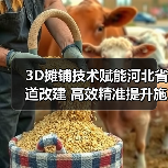 3D摊铺技术赋能河北省道改建 高效精准提升施工质量