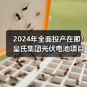 2024年全面投产在即!皇氏集团光伏电池项目新动态 2024年全面投产在即!皇氏集团光伏电池项目新动态