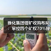 雅化集团锂矿收购布局:掌控四个矿权70%提升资源储备 雅化集团锂矿收购布局:掌控四个矿权70%提升资源储备