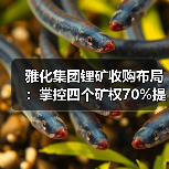 雅化集团锂矿收购布局:掌控四个矿权70%提升资源储备 雅化集团锂矿收购布局:掌控四个矿权70%提升资源储备