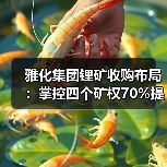 雅化集团锂矿收购布局:掌控四个矿权70%提升资源储备 雅化集团锂矿收购布局:掌控四个矿权70%提升资源储备