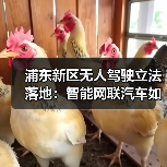 浦东新区无人驾驶立法落地:智能网联汽车如何安全上路? 浦东新区无人驾驶立法落地:智能网联汽车如何安全上路?