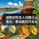 浦东新区无人驾驶立法落地:智能网联汽车如何安全上路? 浦东新区无人驾驶立法落地:智能网联汽车如何安全上路?
