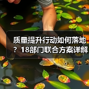 质量提升行动如何落地?18部门联合方案详解 质量提升行动如何落地?18部门联合方案详解