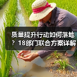 质量提升行动如何落地?18部门联合方案详解 质量提升行动如何落地?18部门联合方案详解