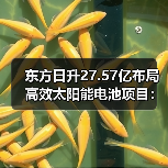 东方日升27.57亿布局高效太阳能电池项目:N型技术推动光伏升级 东方日升27.57亿布局高效太阳能电池项目:N型技术推动光伏升级