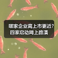 哪家企业离上市更近?四家启动网上路演 哪家企业离上市更近?四家启动网上路演