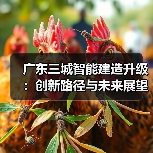 广东三城智能建造升级:创新路径与未来展望 广东三城智能建造升级:创新路径与未来展望