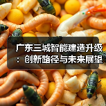 广东三城智能建造升级:创新路径与未来展望 广东三城智能建造升级:创新路径与未来展望