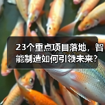 23个重点项目落地,智能制造如何引领未来? 23个重点项目落地,智能制造如何引领未来?