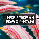 中国制造闪耀世界杯 从场馆到周边全面崛起 中国制造闪耀世界杯 从场馆到周边全面崛起