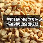 中国制造闪耀世界杯 从场馆到周边全面崛起 中国制造闪耀世界杯 从场馆到周边全面崛起