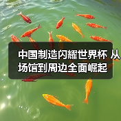 中国制造闪耀世界杯 从场馆到周边全面崛起 中国制造闪耀世界杯 从场馆到周边全面崛起