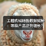 工程机械销售数据揭秘:哪些产品逆势增长? 工程机械销售数据揭秘:哪些产品逆势增长?