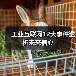 工业互联网12大事件透析未来信心 工业互联网12大事件透析未来信心