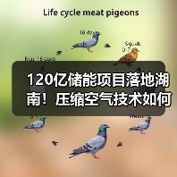 120亿储能项目落地湖南!压缩空气技术如何引领未来? 120亿储能项目落地湖南!压缩空气技术如何引领未来?