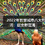 2022年智慧城市八大热词:掘金新蓝海 2022年智慧城市八大热词:掘金新蓝海