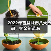 2022年智慧城市八大热词:掘金新蓝海 2022年智慧城市八大热词:掘金新蓝海