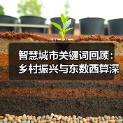 智慧城市关键词回顾:乡村振兴与东数西算深度解析 智慧城市关键词回顾:乡村振兴与东数西算深度解析