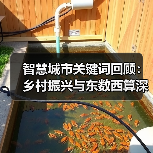 智慧城市关键词回顾:乡村振兴与东数西算深度解析 智慧城市关键词回顾:乡村振兴与东数西算深度解析