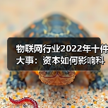 物联网行业2022年十件大事:资本如何影响科技企业? 物联网行业2022年十件大事:资本如何影响科技企业?