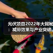 光伏项目2022年大揭秘:减排效果与产业突破全记录 光伏项目2022年大揭秘:减排效果与产业突破全记录