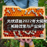光伏项目2022年大揭秘:减排效果与产业突破全记录 光伏项目2022年大揭秘:减排效果与产业突破全记录