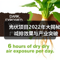 光伏项目2022年大揭秘:减排效果与产业突破全记录 光伏项目2022年大揭秘:减排效果与产业突破全记录