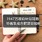 3947万政府补贴背后 协鑫集成合肥项目如何破局 3947万政府补贴背后 协鑫集成合肥项目如何破局