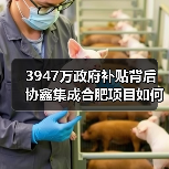 3947万政府补贴背后 协鑫集成合肥项目如何破局 3947万政府补贴背后 协鑫集成合肥项目如何破局