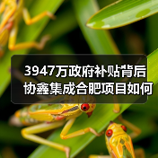 3947万政府补贴背后 协鑫集成合肥项目如何破局 3947万政府补贴背后 协鑫集成合肥项目如何破局