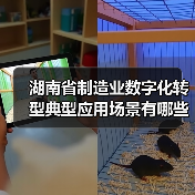 湖南省制造业数字化转型典型应用场景有哪些? 湖南省制造业数字化转型典型应用场景有哪些?