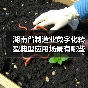 湖南省制造业数字化转型典型应用场景有哪些? 湖南省制造业数字化转型典型应用场景有哪些?