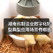 湖南省制造业数字化转型典型应用场景有哪些? 湖南省制造业数字化转型典型应用场景有哪些?