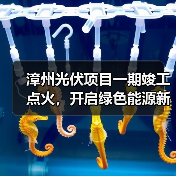 漳州光伏项目一期竣工点火,开启绿色能源新篇章? 漳州光伏项目一期竣工点火,开启绿色能源新篇章?