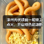 漳州光伏项目一期竣工点火,开启绿色能源新篇章? 漳州光伏项目一期竣工点火,开启绿色能源新篇章?