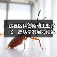 赣县区科创驱动工业腾飞,高质量发展如何实现? 赣县区科创驱动工业腾飞,高质量发展如何实现?
