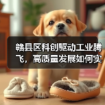 赣县区科创驱动工业腾飞,高质量发展如何实现? 赣县区科创驱动工业腾飞,高质量发展如何实现?