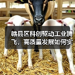 赣县区科创驱动工业腾飞,高质量发展如何实现? 赣县区科创驱动工业腾飞,高质量发展如何实现?