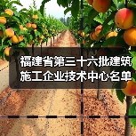 福建省第三十六批建筑施工企业技术中心名单公布!13家企业入选 福建省第三十六批建筑施工企业技术中心名单公布!13家企业入选