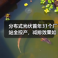 分布式光伏首年31个厂站全投产,减排效果如何? 分布式光伏首年31个厂站全投产,减排效果如何?