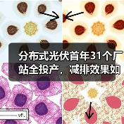 分布式光伏首年31个厂站全投产,减排效果如何? 分布式光伏首年31个厂站全投产,减排效果如何?