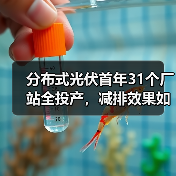分布式光伏首年31个厂站全投产,减排效果如何? 分布式光伏首年31个厂站全投产,减排效果如何?