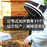 分布式光伏首年31个厂站全投产,减排效果如何? 分布式光伏首年31个厂站全投产,减排效果如何?