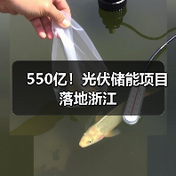 550亿!光伏储能项目落地浙江 550亿!光伏储能项目落地浙江