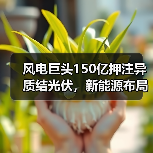 风电巨头150亿押注异质结光伏,新能源布局加速 风电巨头150亿押注异质结光伏,新能源布局加速
