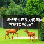 光伏组件巨头为何集体布局TOPCon? 光伏组件巨头为何集体布局TOPCon?
