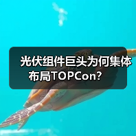 光伏组件巨头为何集体布局TOPCon? 光伏组件巨头为何集体布局TOPCon?